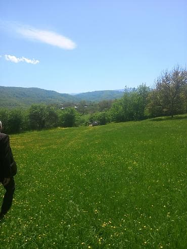 qobuda torpag: 4 sot, Tikinti, Maklerlər narahat etməsin, Kupça (Çıxarış) — 4