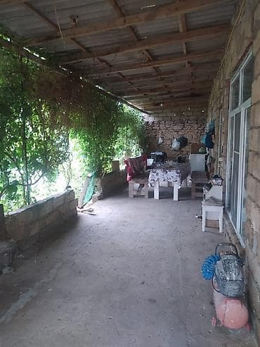 celilabad ev: Bağ sahəsi – meyvə ağacları və üzümlüklə - Yaşıl, münbit torpaqlı — 5