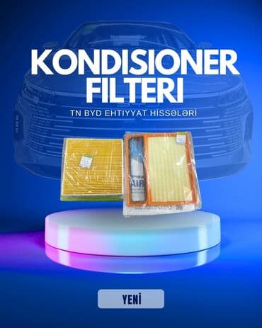 Salonun hava filterləri: BYD DESTROYER, 2024 il, Orijinal, Çin — 1