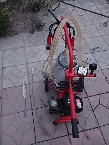 s8 ultra saat: Sut sagan aparat iney ucun idiyal vezyetde 1 hefde bele islemiyib — 4