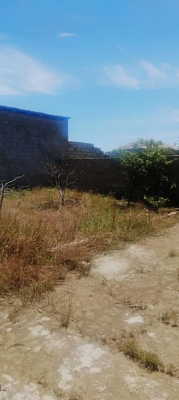ivanovka torpaq satilir: 5 sot, Tikinti, Kupça (Çıxarış) — 1