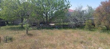 goradilde torpaq: 9 sot, Tikinti, Makler, Kupça (Çıxarış) — 2