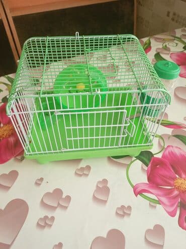 большая клетка для морской свинки: Xamyak üçün qəfəs dəsti - Kompakt ölçülü metal qəfəs, üst hissədə — 1