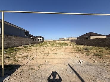 gunesli: Tikinti — 8