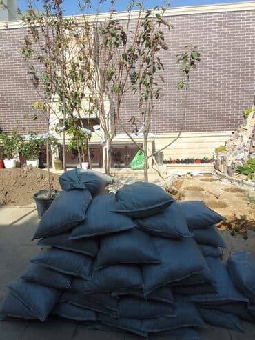 ищу работу садовник на дачу: Bağban xidməti qazon biçmək ağacların biçilməsi budanması — 6