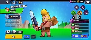 Другое: Brawl Stars oyunu üçün hesab - Kupa sayı: 24,332 (Kupa Yolu III) - — 4