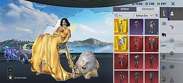 xonca satisi: PUBG Mobile hesabı satılır — zəngin inventar və nadir kosmetikalar — 7
