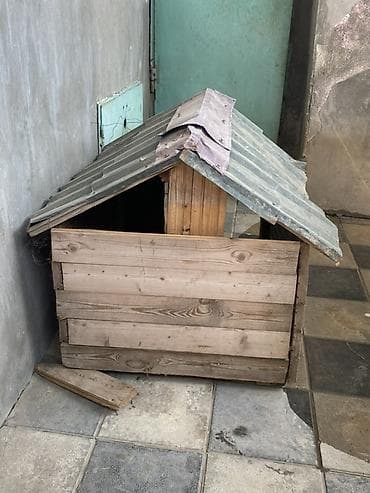 Yuvalar: Taxta it evi - Material: tamamilə taxtadan yığma karkas, üstü dalğalı — 3