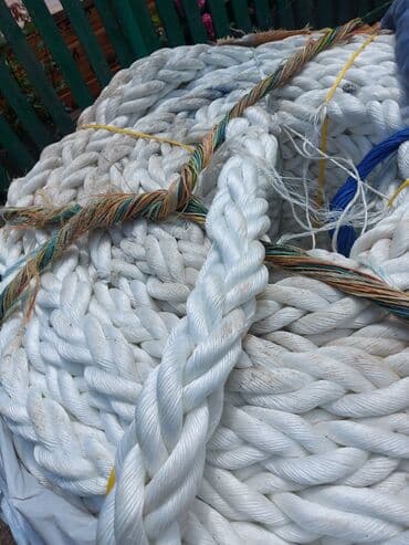 Tranplin ucun kendir