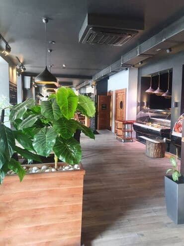 hazır biznes restoran: Binəqədi rayonu 7-ci mikrarayonda yol kənarı ümumi sahəsi 250kvm — 3