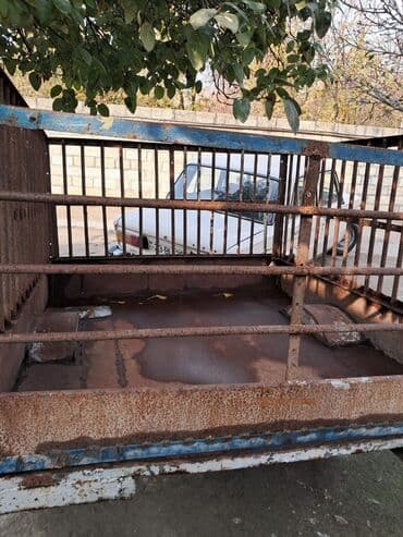 masin ucun qosqu: İkioxlu kənd təsərrüfatı qoşqusu – heyvan və yük daşımaq üçün metal — 3