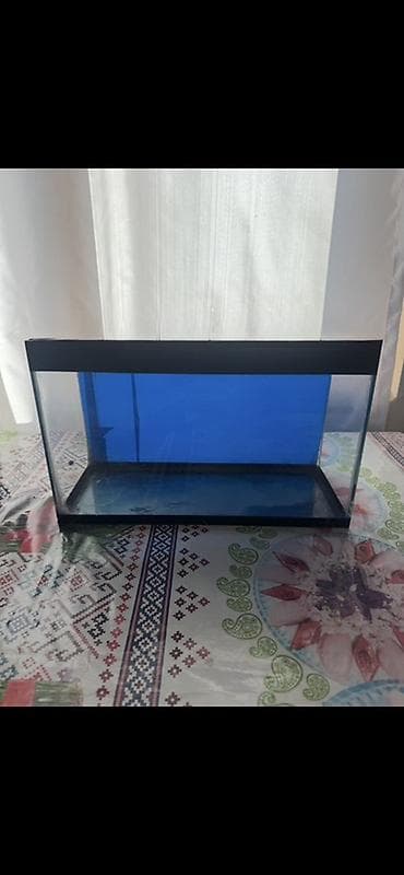 Akvaryum – işlenmis 2 edetdi biri 15 Azn biride 30 Azn 2 sini bir