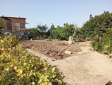 savalan torpag: Kənd təsərrüfatı — 7