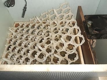 Сельско-хозяйственное оборудование: Salam inkubator satılır 120 toyuq yumurtası tutur 5 dəfə istifadə — 2