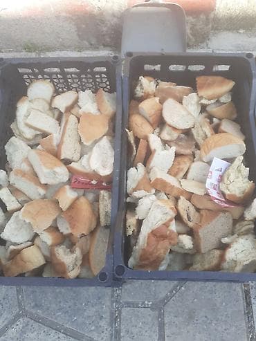 əbabil quşu yemi: Guru corek kisesi 4 azn barter etmek olar toyug fere ile. 055 880 — 4