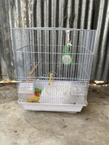 Quş qəfəsi – aksesuarlarla - Material: metal torlu karkas, ağ rəngli