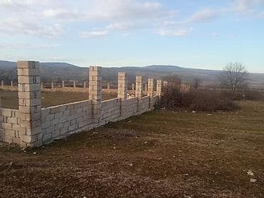 kənd evi: 43 sot, Kənd təsərrüfatı, Barter mümkündür, Kupça (Çıxarış), Texniki pasport — 7