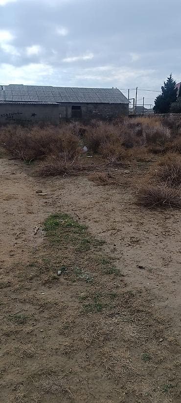 12 sot, Tikinti, Mülkiyyətçi, Bələdiyyə — 2