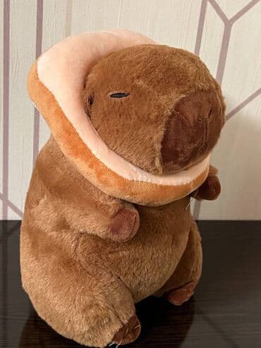 Uşaq arabaları: Salam Kapibara satılır Təzə trend Oyuncaq iki hissədən ibarətdir Çörək — 3