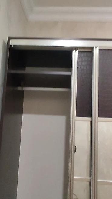 şifanerler: İşlənmiş, Kupe, 2 qapılı Düz dolab, Dəhliz dolabı — 5