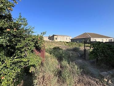 4 sot, Tikinti, Kupça (Çıxarış) — 7