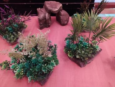 Akvarium dekorları 5 azn