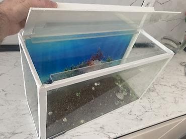 ikinci el akvaryum: Dördbucaq akvarium, Boş, 20 l, Ünvandan götürmə — 2