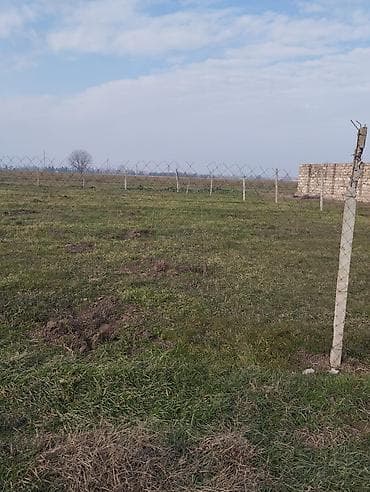 kənd: Kənd təsərrüfatı — 3