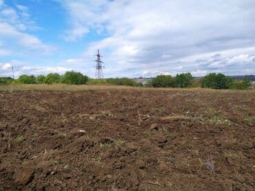купить участок в бузовнах: 40 sot, Mülkiyyətçi, Kupça (Çıxarış) — 3