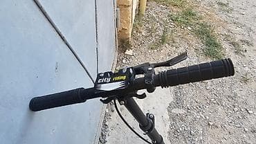 m4 pro max scooter: Şəhər tipli skuter - Mexaniki (elektriksiz) şinli skuter - Böyük — 4
