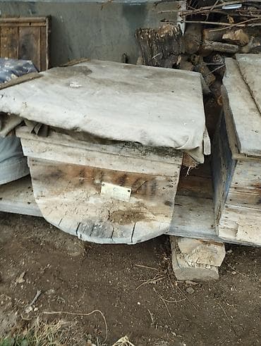ucuz keci: Arıxana avadanlığı – taxta pətəklər və gövdələr - Məhsul: Arıçılıq — 9