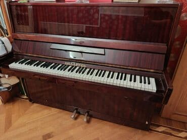 Piano, Belarus, Akustik