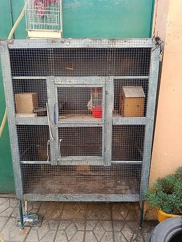 bildirçin: Quşlar üçün iri volyer/ qəfəs - Material: metal karkas və möhkəm — 3