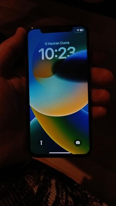 IPhone X, Gümüşü