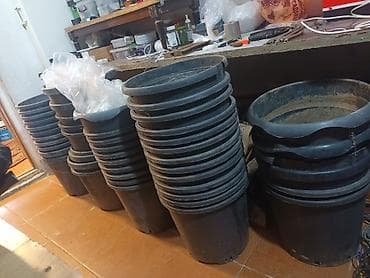 gozel gül sekilleri profil ucun: 200 yaxin qablardi Elave melumat ucun wp activdir buyurun// — 8
