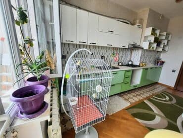 badamdarda kohne bina evleri: Həzi Aslanov metrosuna yaxin Qədir Məmmədov kucesində 13 mertebeli — 13