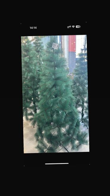 hinduska eti satilir: ✅Şam ağacı ✅Sam agaci ✅Yolka ✅Yolka ağacı ✅Yeni il ağacı ✅Yeni il — 1