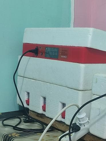 toyug cucə: Fabrik istehsalı, Tam avtomat, Bütün növ quşlaq üçün — 1