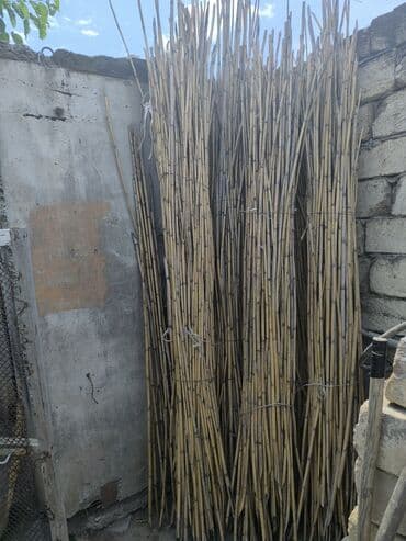 dua gülü: Qarxi 4qom du 15m — 3