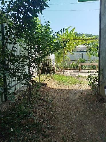 xutor kiraye ev: 50 kv. m, 3 otaqlı, Qaz, İşıq, Su — 4