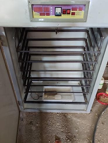 Biznes üçün avadanlıq: 1100 yumurta, Tam avtomat — 2