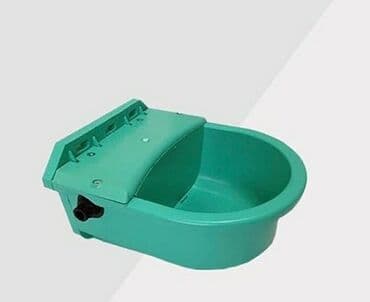 Suluklar 
Müxtəlif 
yeni