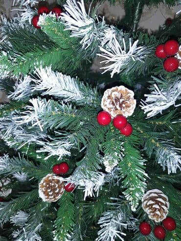 dib: 210 hundurlukde rial alciya cuzu endirim olacaq zontik modeldi — 2