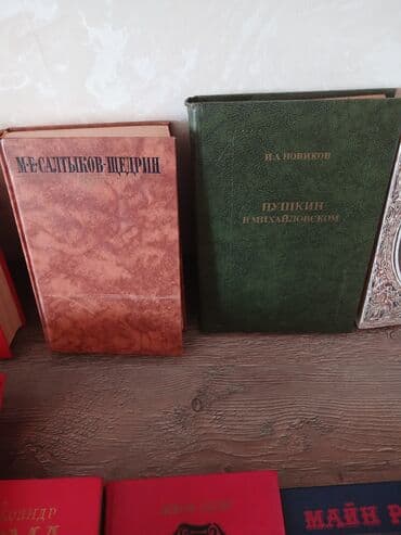 əsər: Rus dilində klassik ədəbiyyat və poeziya üzrə böyük kitab toplusu — 11