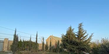 Bağ evi və geniş həyət sahəsi - Tikili: 1 mərtəbəli fərdi yaşayış — 1