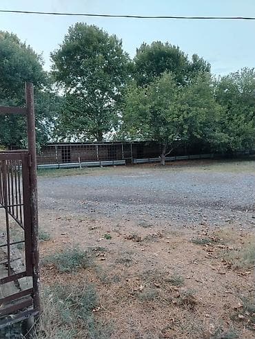 binəqədidə heyet evleri: Ferma/təsərrüfat kompleksi - Heyvandarlıq üçün tikili və açıq — 4