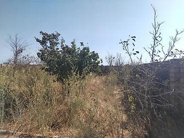 ev axtaranlar: 5 otaqlı, 180 kv. m, Təmirsiz — 2