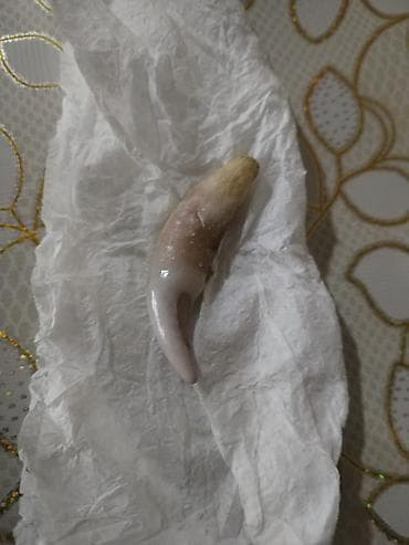 efsane inci: Şarm — 1