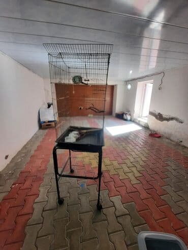 переноска для кошек баку: 2 böyük qəfəs — 3