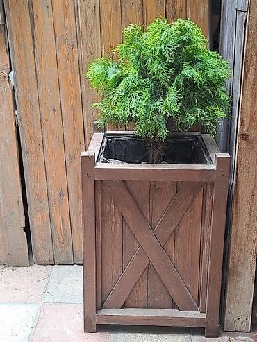 2 aǧac taxta dipçekde unvan yasamal ikisi bir yerde 70manat — 2
